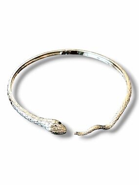 Serpent serpentine Gold Snake Choker Necklace - Fashion Reptile-Inspired Jewelry